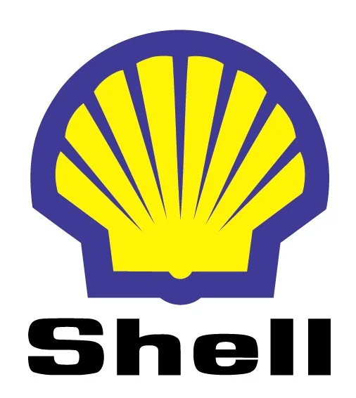 blue shell.webp