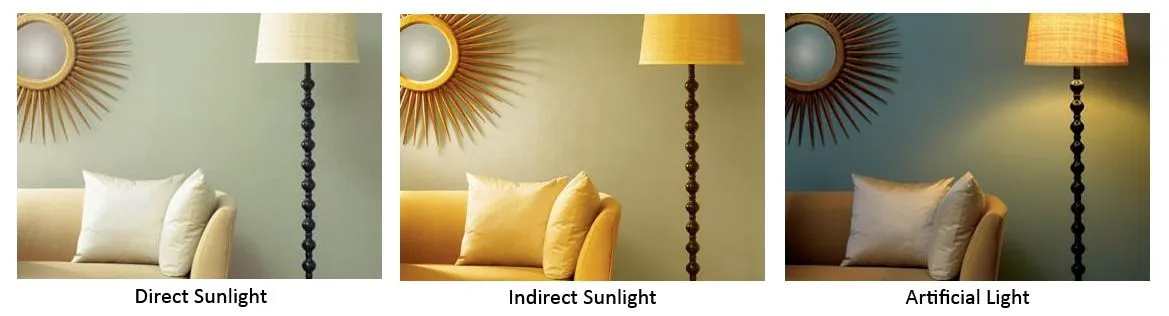 Direct-sun-light.webp