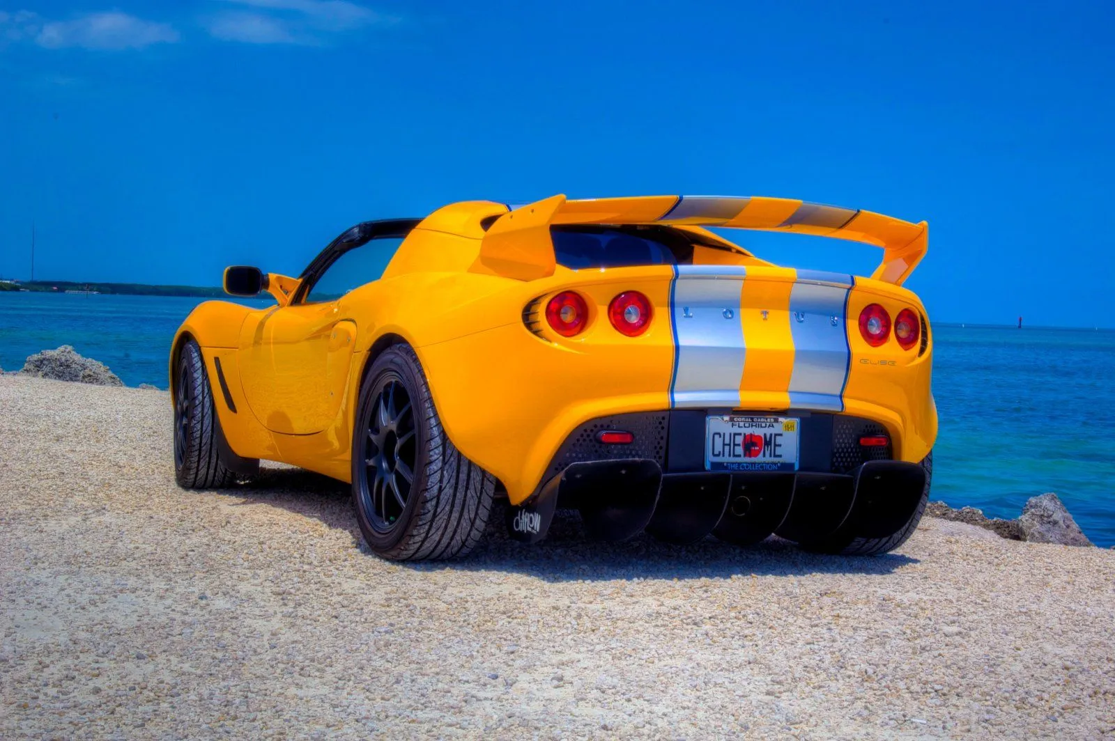 elise rear beach.webp