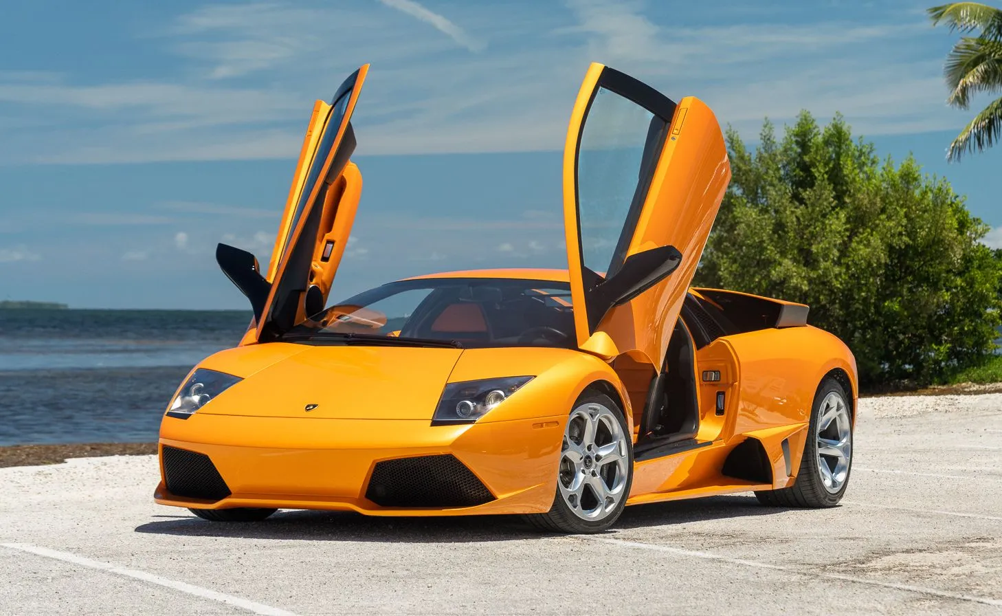 Lamborghini-Murcielago-LP640-Arancio-on-Orange-Black-4.webp