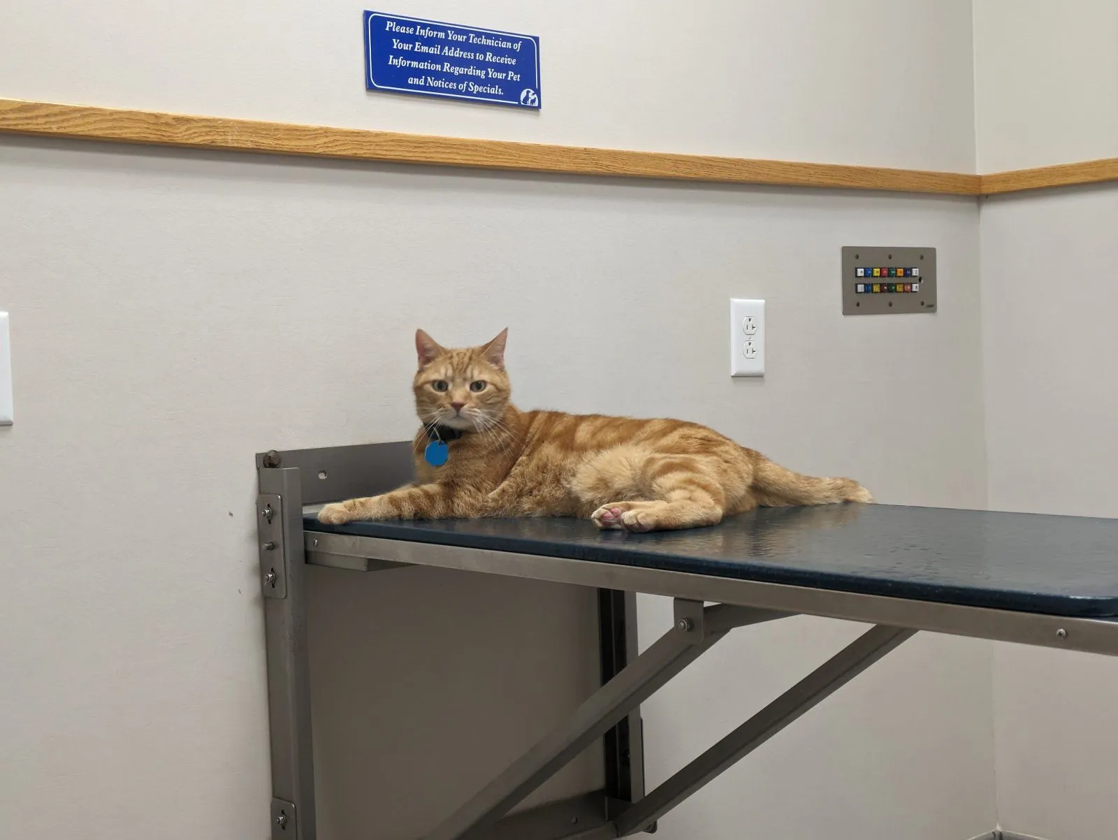 Mike at Vet.jpg