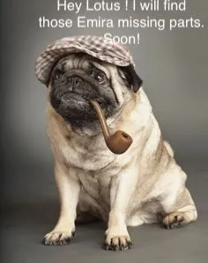 pug holmes.webp