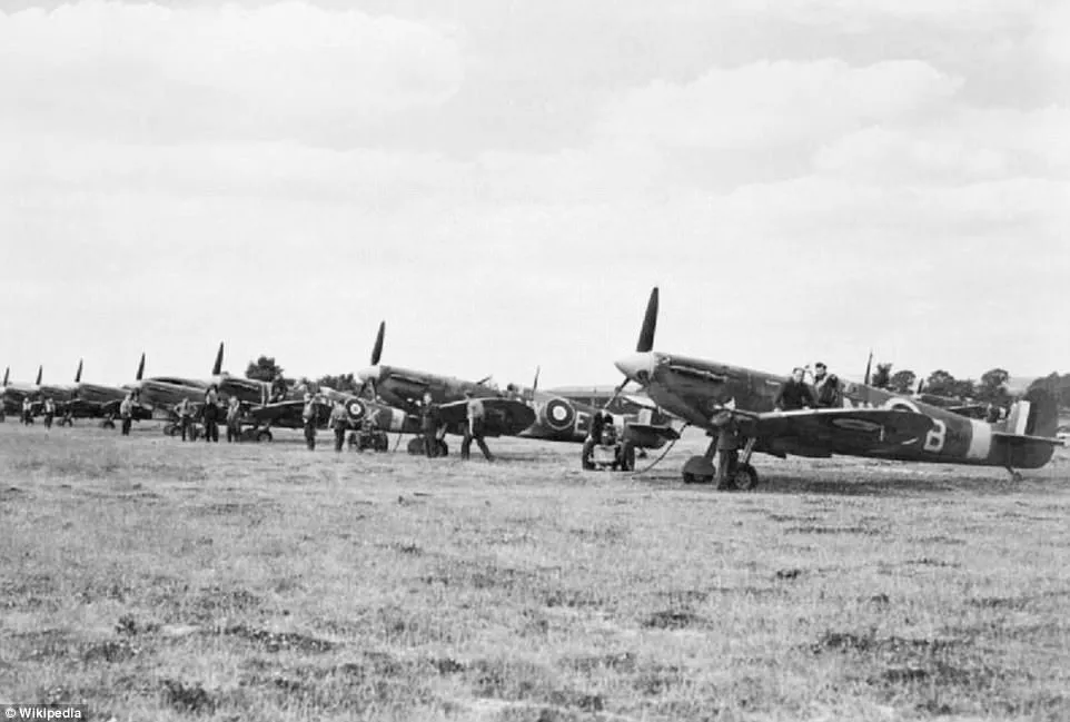 Spitfires.webp