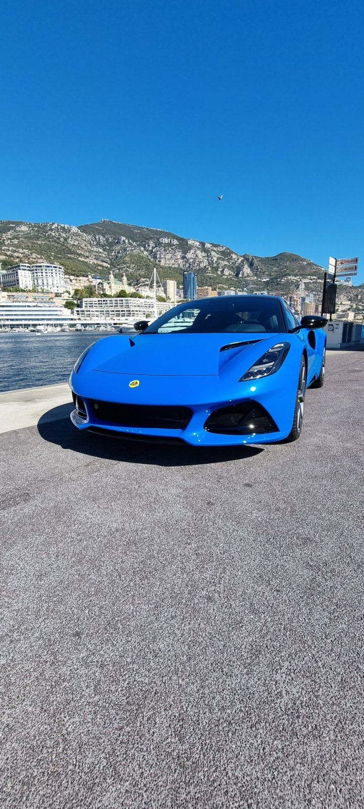 Lotus Cavallari Monaco Seneca Blue 02.jpg