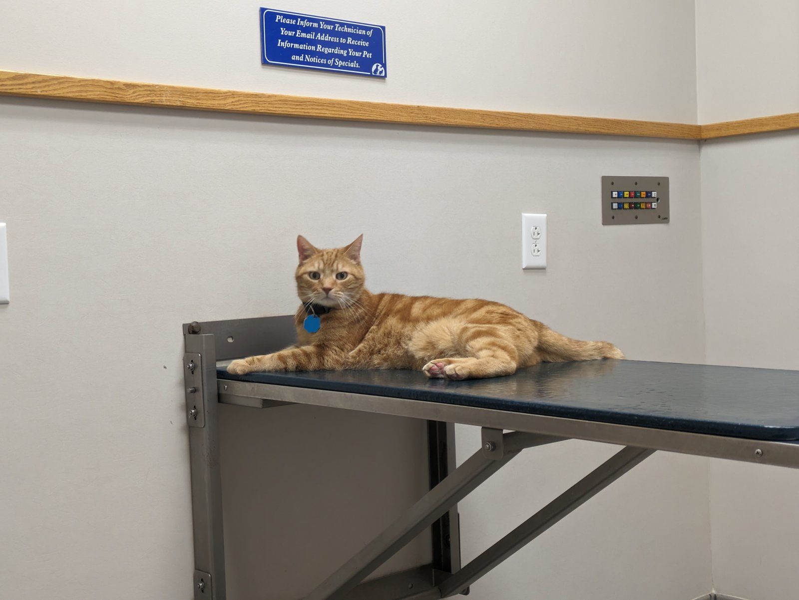 Mike at Vet.jpg