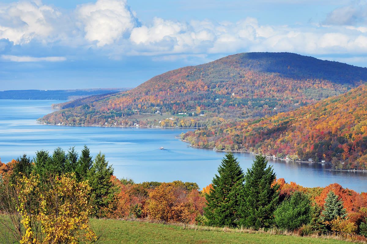 Ontario_county_road_12_overlook_fall_7079d507-c11d-4ffc-8b8a-12daaef964ed.jpg